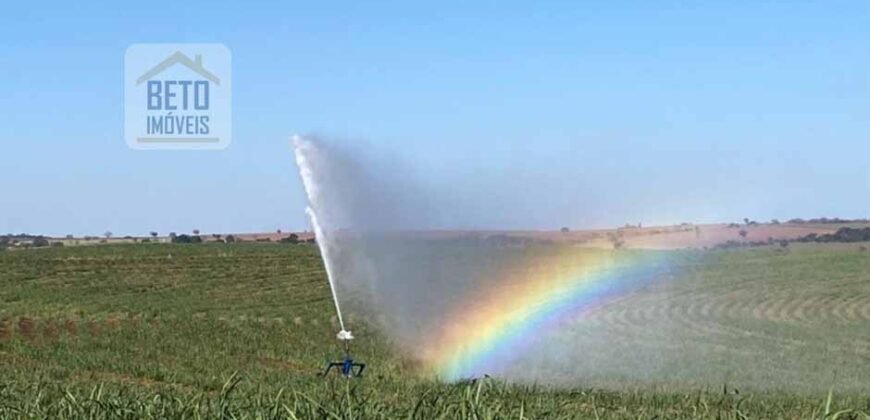 Ótima Fazenda de Cana 3.124 Has Terra de primerira e Pista de pouso | Sud Mennucci/ SP Ótima Fazenda de Cana 3.124 Has Terra de primerira e Pista de pouso | Sud Mennucci/ SP