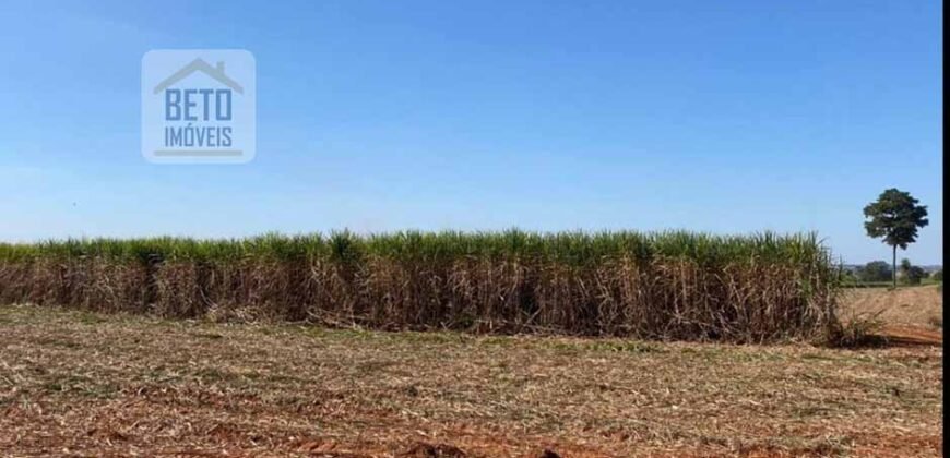 Ótima Fazenda de Cana 3.124 Has Terra de primerira e Pista de pouso | Sud Mennucci/ SP Ótima Fazenda de Cana 3.124 Has Terra de primerira e Pista de pouso | Sud Mennucci/ SP