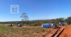 Ótima Fazenda de Cana 3.124 Has Terra de primerira e Pista de pouso | Sud Mennucci/ SP Ótima Fazenda de Cana 3.124 Has Terra de primerira e Pista de pouso | Sud Mennucci/ SP