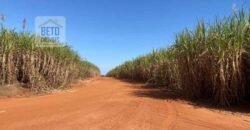 Ótima Fazenda de Cana 3.124 Has Terra de primerira e Pista de pouso | Sud Mennucci/ SP Ótima Fazenda de Cana 3.124 Has Terra de primerira e Pista de pouso | Sud Mennucci/ SP