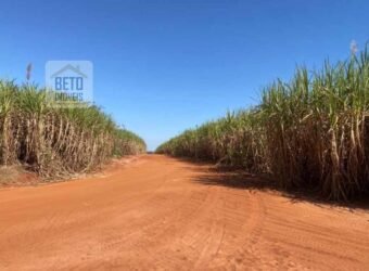 Ótima Fazenda de Cana 3.124 Has Terra de primerira e Pista de pouso | Sud Mennucci/ SP
