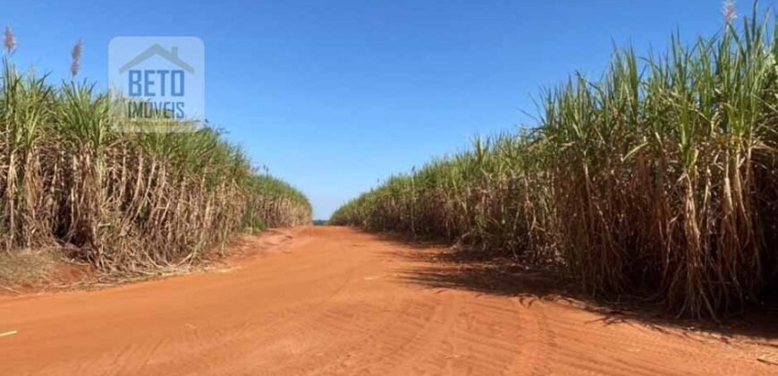 Ótima Fazenda de Cana 3.124 Has Terra de primerira e Pista de pouso | Sud Mennucci/ SP Ótima Fazenda de Cana 3.124 Has Terra de primerira e Pista de pouso | Sud Mennucci/ SP