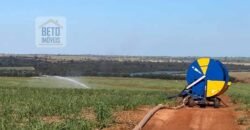 Ótima Fazenda de Cana 3.124 Has Terra de primerira e Pista de pouso | Sud Mennucci/ SP Ótima Fazenda de Cana 3.124 Has Terra de primerira e Pista de pouso | Sud Mennucci/ SP