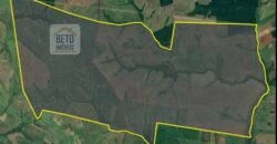 Ótima Fazenda de Cana 3.124 Has Terra de primerira e Pista de pouso | Sud Mennucci/ SP Ótima Fazenda de Cana 3.124 Has Terra de primerira e Pista de pouso | Sud Mennucci/ SP