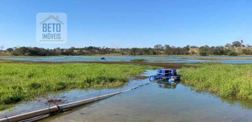 Ótima Fazenda de Cana 3.124 Has Terra de primerira e Pista de pouso | Sud Mennucci/ SP Ótima Fazenda de Cana 3.124 Has Terra de primerira e Pista de pouso | Sud Mennucci/ SP