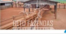 Excelente Fazenda Dupla Aptidão com 140 mil hectares Toda estrutura e armazenamento | Confresa/ MT Excelente Fazenda Dupla Aptidão com 140 mil hectares Toda estrutura e armazenamento | Confresa/ MT