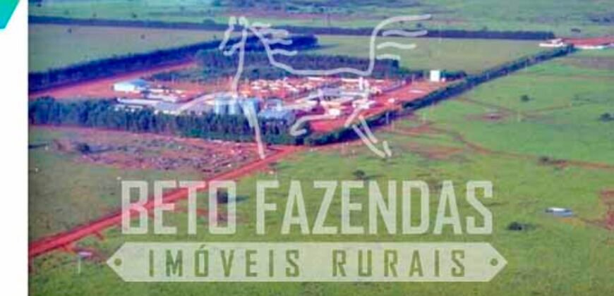 Excelente Fazenda Dupla Aptidão com 140 mil hectares Toda estrutura e armazenamento | Confresa/ MT Excelente Fazenda Dupla Aptidão com 140 mil hectares Toda estrutura e armazenamento | Confresa/ MT