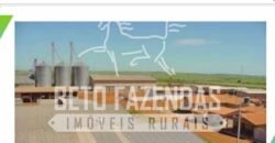 Excelente Fazenda Dupla Aptidão com 140 mil hectares Toda estrutura e armazenamento | Confresa/ MT Excelente Fazenda Dupla Aptidão com 140 mil hectares Toda estrutura e armazenamento | Confresa/ MT