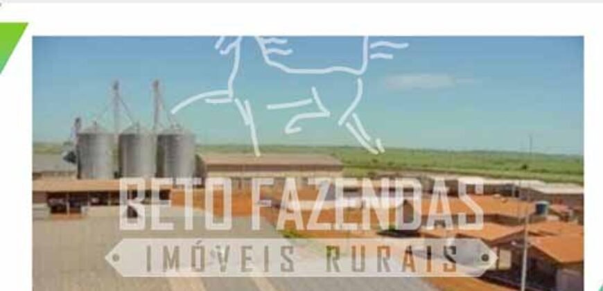 Excelente Fazenda Dupla Aptidão com 140 mil hectares Toda estrutura e armazenamento | Confresa/ MT Excelente Fazenda Dupla Aptidão com 140 mil hectares Toda estrutura e armazenamento | Confresa/ MT