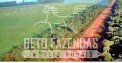 Excelente Fazenda Dupla Aptidão com 140 mil hectares Toda estrutura e armazenamento | Confresa/ MT Excelente Fazenda Dupla Aptidão com 140 mil hectares Toda estrutura e armazenamento | Confresa/ MT