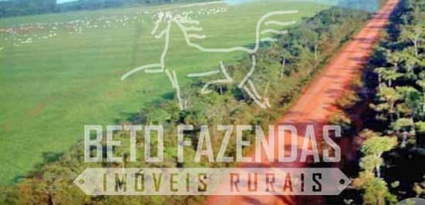 Excelente Fazenda Dupla Aptidão com 140 mil hectares Toda estrutura e armazenamento | Confresa/ MT Excelente Fazenda Dupla Aptidão com 140 mil hectares Toda estrutura e armazenamento | Confresa/ MT