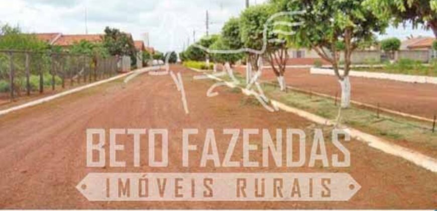 Excelente Fazenda Dupla Aptidão com 140 mil hectares Toda estrutura e armazenamento | Confresa/ MT Excelente Fazenda Dupla Aptidão com 140 mil hectares Toda estrutura e armazenamento | Confresa/ MT