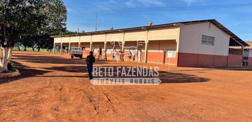 Excelente Fazenda Dupla Aptidão com 140 mil hectares Toda estrutura e armazenamento | Confresa/ MT Excelente Fazenda Dupla Aptidão com 140 mil hectares Toda estrutura e armazenamento | Confresa/ MT