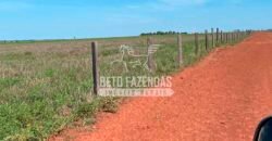Excelente Fazenda Dupla Aptidão com 140 mil hectares Toda estrutura e armazenamento | Confresa/ MT Excelente Fazenda Dupla Aptidão com 140 mil hectares Toda estrutura e armazenamento | Confresa/ MT