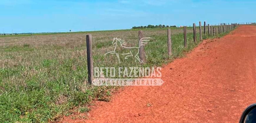 Excelente Fazenda Dupla Aptidão com 140 mil hectares Toda estrutura e armazenamento | Confresa/ MT Excelente Fazenda Dupla Aptidão com 140 mil hectares Toda estrutura e armazenamento | Confresa/ MT