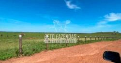 Excelente Fazenda Dupla Aptidão com 140 mil hectares Toda estrutura e armazenamento | Confresa/ MT Excelente Fazenda Dupla Aptidão com 140 mil hectares Toda estrutura e armazenamento | Confresa/ MT