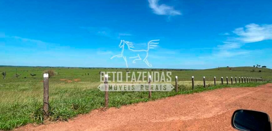 Excelente Fazenda Dupla Aptidão com 140 mil hectares Toda estrutura e armazenamento | Confresa/ MT Excelente Fazenda Dupla Aptidão com 140 mil hectares Toda estrutura e armazenamento | Confresa/ MT