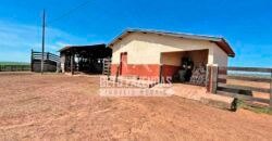 Excelente Fazenda Dupla Aptidão com 140 mil hectares Toda estrutura e armazenamento | Confresa/ MT Excelente Fazenda Dupla Aptidão com 140 mil hectares Toda estrutura e armazenamento | Confresa/ MT