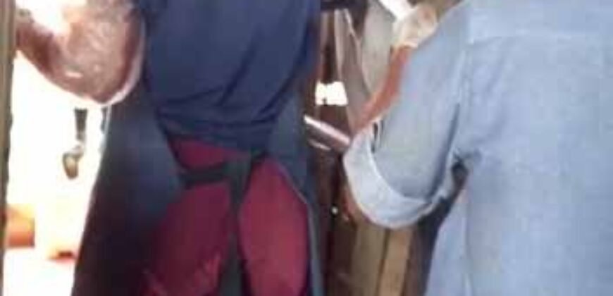 Fazenda à Venda com Estrutura Completa p/ Pecuária 4 mil hectares | Região de Barra do Garça/ MT