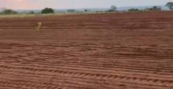 Fazenda à Venda com Estrutura Completa p/ Pecuária 4 mil hectares | Região de Barra do Garça/ MT