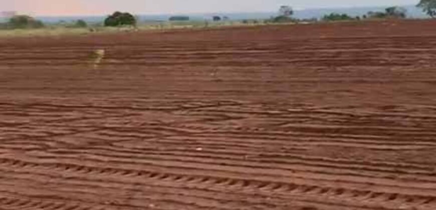 Fazenda à Venda com Estrutura Completa p/ Pecuária 4 mil hectares | Região de Barra do Garça/ MT