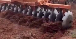 Fazenda à Venda com Estrutura Completa p/ Pecuária 4 mil hectares | Região de Barra do Garça/ MT