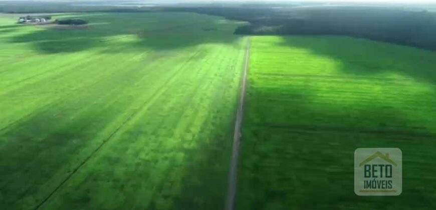 Fazenda 40 mil ha para lavoura estrutura pronta de armazenamento e irrigação | Região do Araguaia/ PA