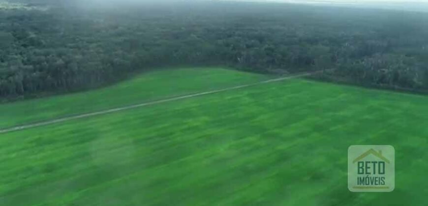 Fazenda 40 mil ha para lavoura estrutura pronta de armazenamento e irrigação | Região do Araguaia/ PA