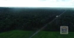 Fazenda 40 mil ha para lavoura estrutura pronta de armazenamento e irrigação | Região do Araguaia/ PA