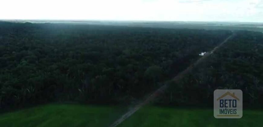 Fazenda 40 mil ha para lavoura estrutura pronta de armazenamento e irrigação | Região do Araguaia/ PA