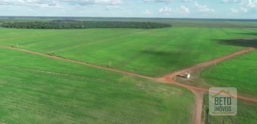 Fazenda 40 mil ha para lavoura estrutura pronta de armazenamento e irrigação | Região do Araguaia/ PA