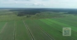 Fazenda 40 mil ha para lavoura estrutura pronta de armazenamento e irrigação | Região do Araguaia/ PA