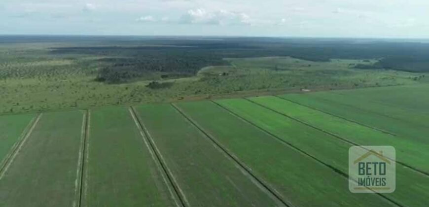 Fazenda 40 mil ha para lavoura estrutura pronta de armazenamento e irrigação | Região do Araguaia/ PA