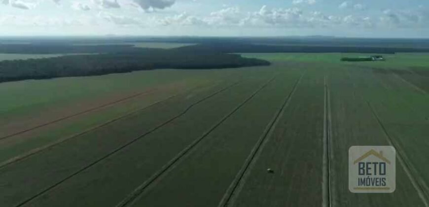 Fazenda 40 mil ha para lavoura estrutura pronta de armazenamento e irrigação | Região do Araguaia/ PA