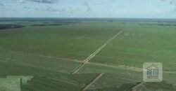 Fazenda 40 mil ha para lavoura estrutura pronta de armazenamento e irrigação | Região do Araguaia/ PA