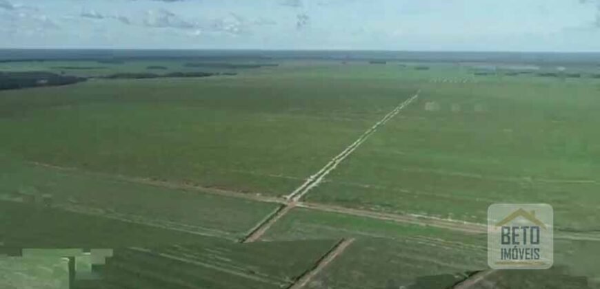 Fazenda 40 mil ha para lavoura estrutura pronta de armazenamento e irrigação | Região do Araguaia/ PA