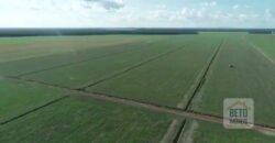 Fazenda 40 mil ha para lavoura estrutura pronta de armazenamento e irrigação | Região do Araguaia/ PA