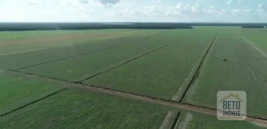 Fazenda 40 mil ha para lavoura estrutura pronta de armazenamento e irrigação | Região do Araguaia/ PA