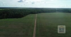 Fazenda 40 mil ha para lavoura estrutura pronta de armazenamento e irrigação | Região do Araguaia/ PA