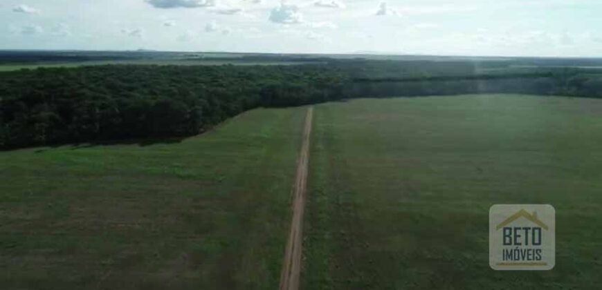Fazenda 40 mil ha para lavoura estrutura pronta de armazenamento e irrigação | Região do Araguaia/ PA