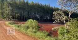 Excelente Fazenda 630 alqueires para lavoura com represas, cilos e galpões | Londrina/ PR