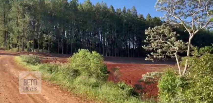 Excelente Fazenda 630 alqueires para lavoura com represas, cilos e galpões | Londrina/ PR