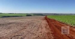 Excelente Fazenda 630 alqueires para lavoura com represas, cilos e galpões | Londrina/ PR