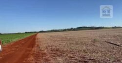 Excelente Fazenda 630 alqueires para lavoura com represas, cilos e galpões | Londrina/ PR