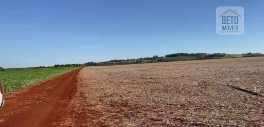 Excelente Fazenda 630 alqueires para lavoura com represas, cilos e galpões | Londrina/ PR
