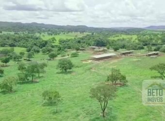 Oportunidade Única! Fazenda à venda com 130 Alqueires em Padre Bernardo/ GO Oportunidade Única! Fazenda à venda com 130 Alqueires em Padre Bernardo/ GO