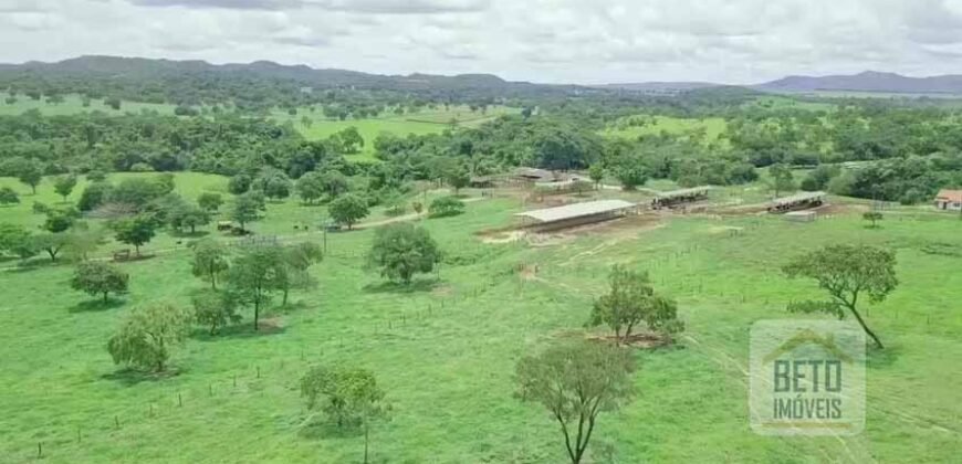 Oportunidade Única! Fazenda à venda com 130 Alqueires em Padre Bernardo/ GO