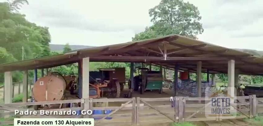 Oportunidade Única! Fazenda à venda com 130 Alqueires em Padre Bernardo/ GO