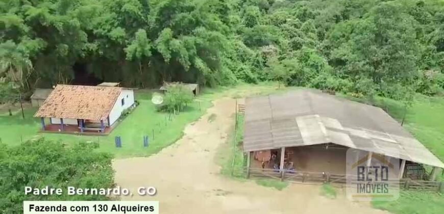Oportunidade Única! Fazenda à venda com 130 Alqueires em Padre Bernardo/ GO