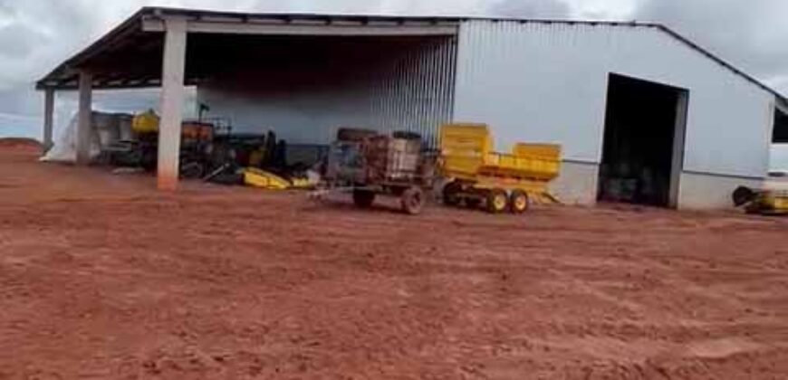 Excelente fazenda Dupla Aptidão à venda 4.356 hectares Pista de pouso e Logística pronta | Gal. Carneiro/ MT